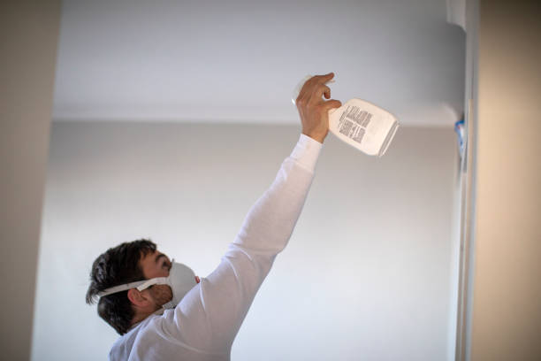 Best Fast Mold Removal  in West Union, OH