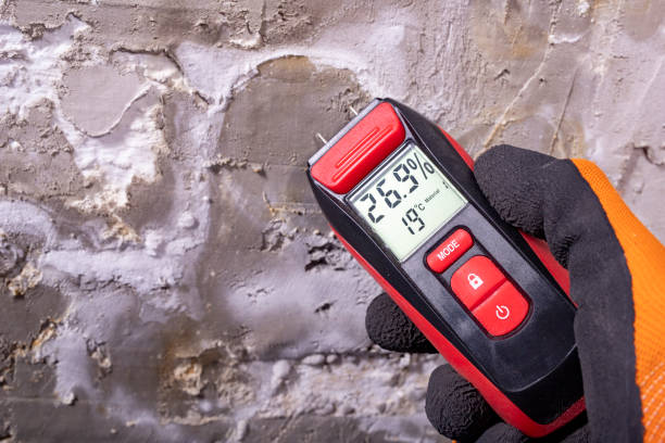 Best Commercial Mold Removal  in West Union, OH